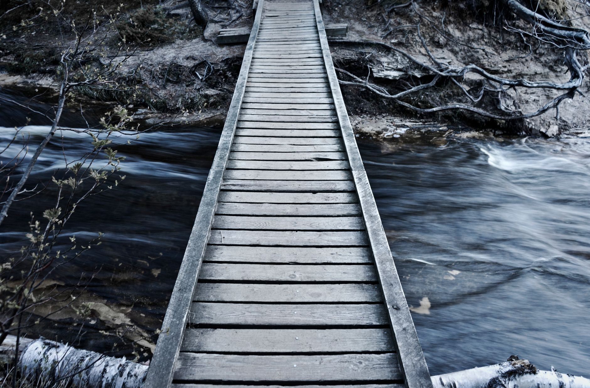 Michigan trail deaths